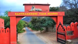 Ranthambore-national-park-India